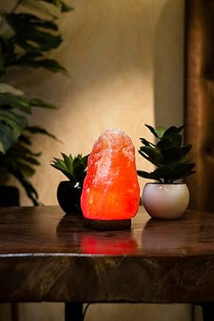 Color Changing Pure Himalayan Salt Lamp